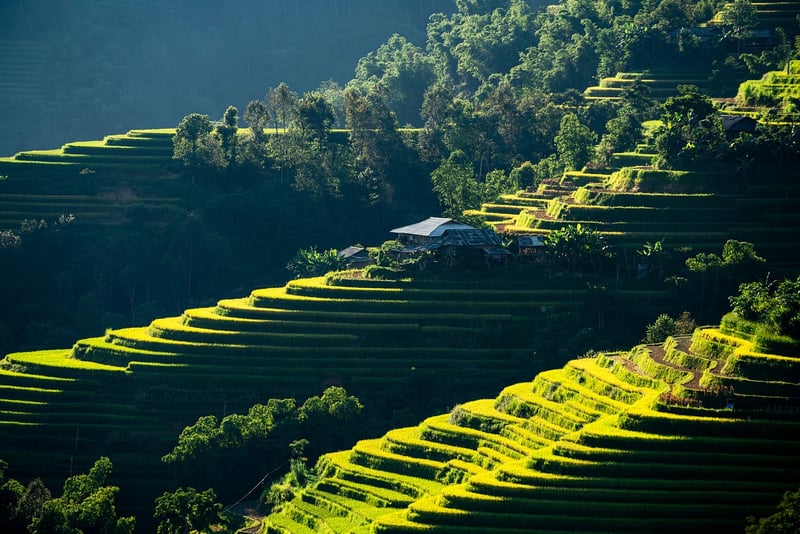 Small space with ample natural light